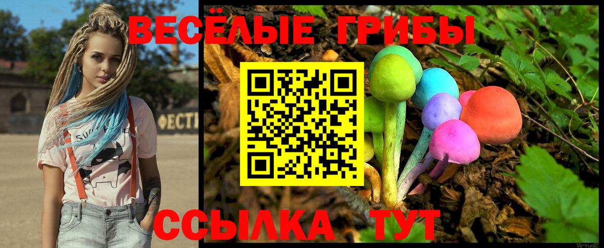 Галлюциногенные грибы мухоморы  Вход с VPN  что такое   Псилоцибиновые грибы ЛСД  Нарьян-Мар 